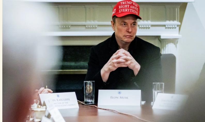 Elon Musk și David Sacks, ambii consilieri ai Casei Albe, pun la îndoială alegerile din România