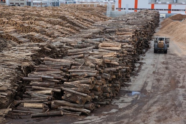 Enel, Dedeman și Hornbach, somate să nu cumpere lemn de la Schweighofer
