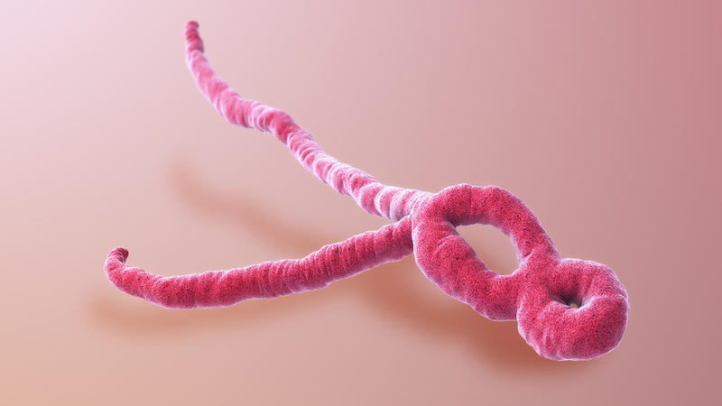 Epidemia de Ebola din Congo, declarată 