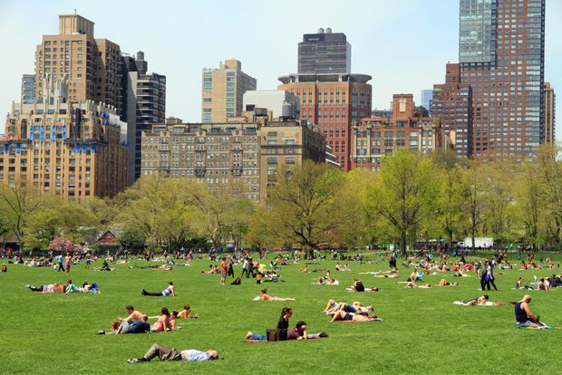 Explozii în Central Park, în timpul înmormântării scriitorului de origine română Elie Wiesel