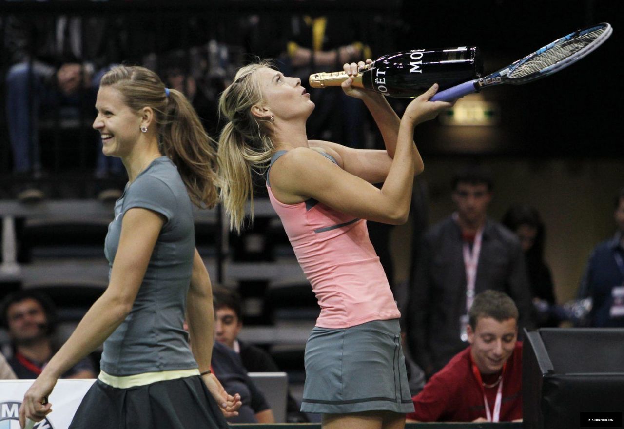 Fed Cup 2016. România - Cehia:
