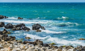 Fenomen rarisim la Marea Neagră, fără precedent în ultimii 40 de ani