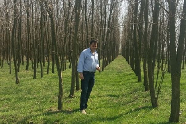 Fermier amendat după ce a plantat 40.000 de arbori: „Nu e vorba de bani! Mie nu mi-e frică!