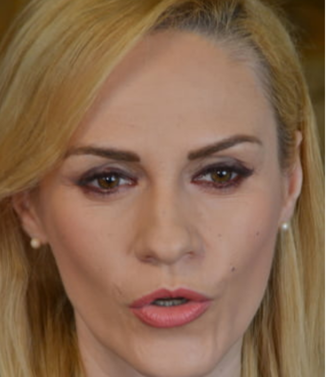 Firea, iesire nervoasa la adresa unui protestatar care a intrerupt-o cand anunta ca s-a intors in conducerea PSD