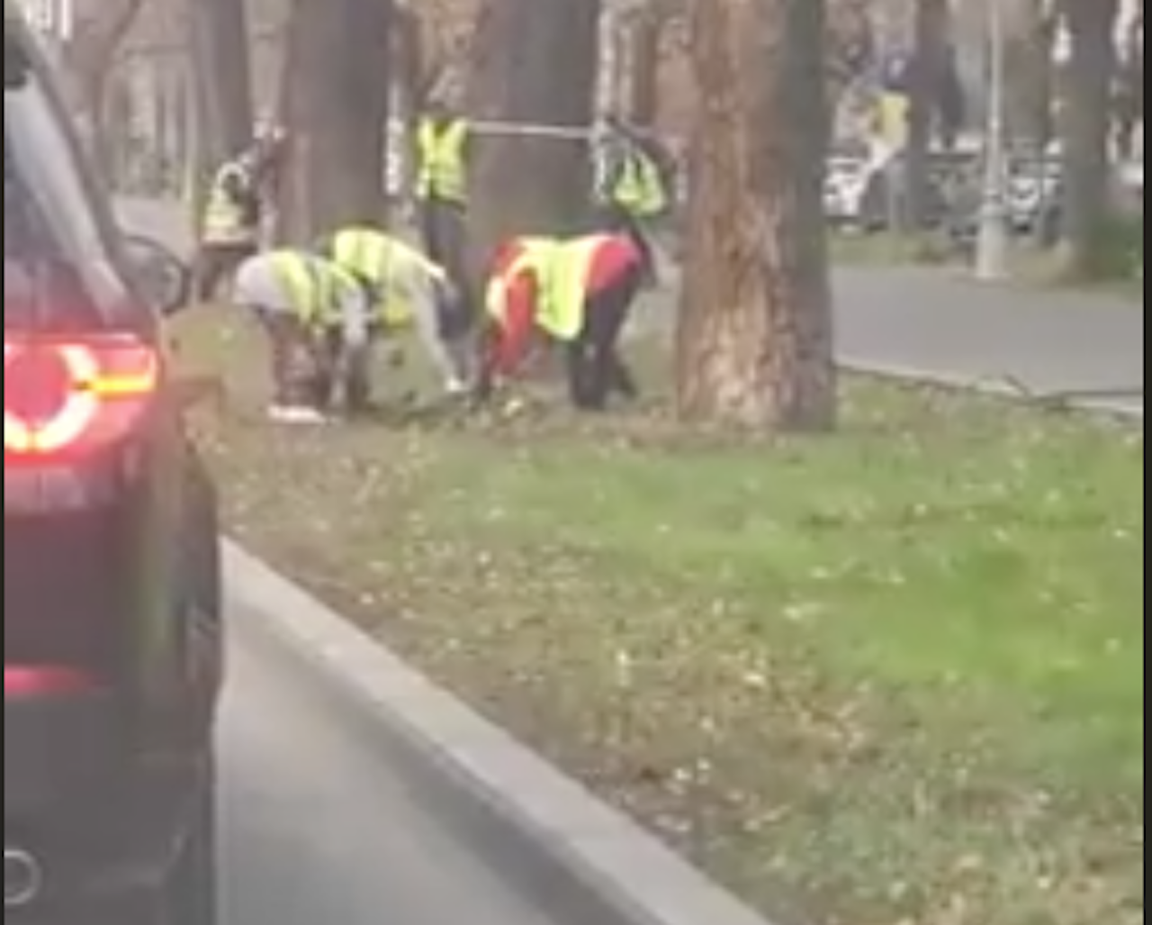 Gabriela Firea planteaza panselute de 1 Decembrie, in plina iarna, in vreme ce bucurestenii n-au caldura in case