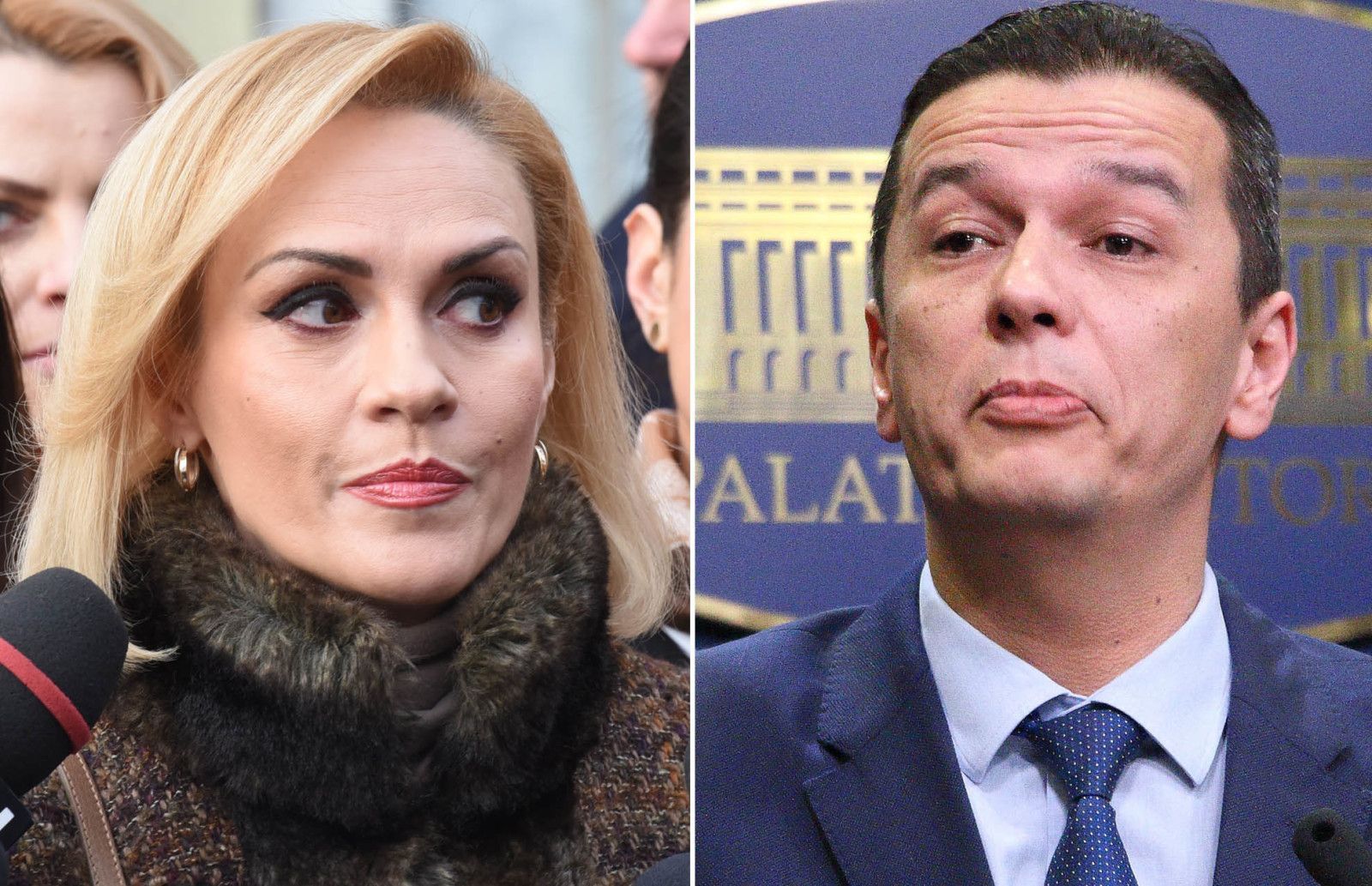 Gabriela Firea: