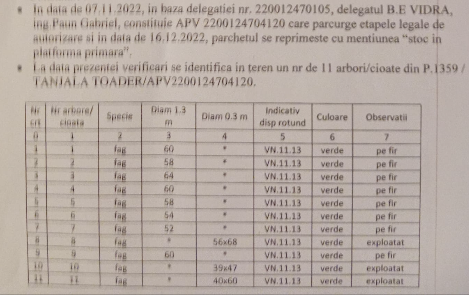 Garda Forestieră Vrancea și Parchetele Focșani și Panciu anchetează un furt de masă lemnoasă de peste 500 de mii euro. Autorul e un cunoscut toporator: 