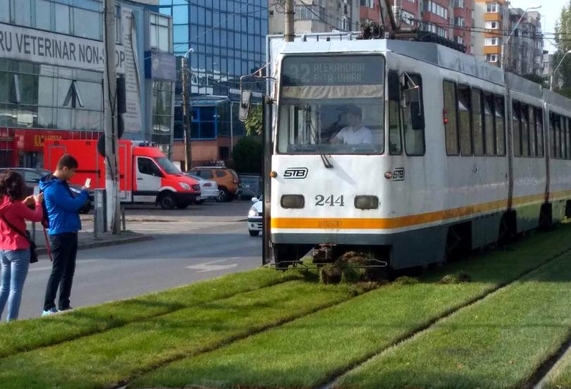 Gazon pentru linia de tramvaie. Primăria Sectorului 5 a cumpărat cu 41 de euro iarbă de 2,5 euro!