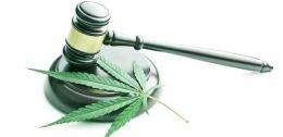 Grecia legalizează consumul de marijuana
