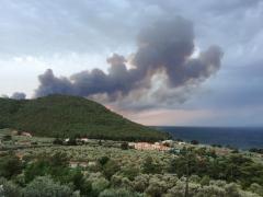 Grecia - stare de urgenţă determinată de incendii pe insula Thasos
