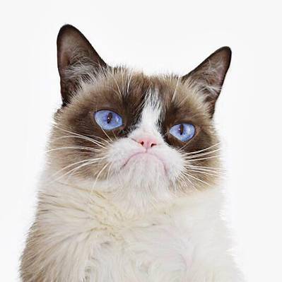 Grumpy Cat, prima pisică care va avea o statuie din ceară la Madame Tussauds