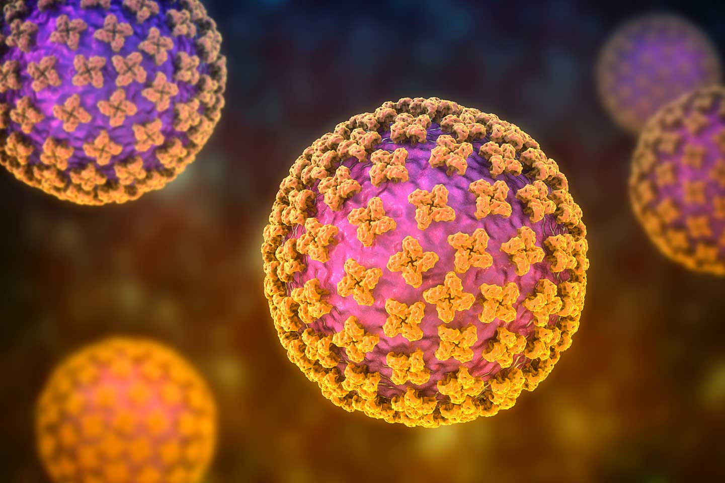 Hantavirusul, infecția care a speriat Europa: Cum se transmite și care sunt simptomele