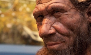 Imperecherea dintre primii oameni din Europa şi cei de Neanderthal era mult mai frecventă decat se credea