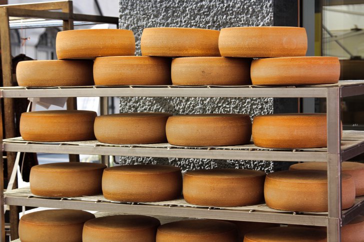 Importurile de produse lactate sunt la cote alarmante. Ce fac procesatorii interni?