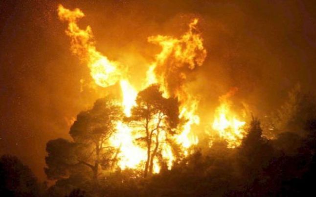 Incendiu de amploare pe Valea Cernei. Aproximativ 50 de hectare de pădure, cuprinse de flăcări