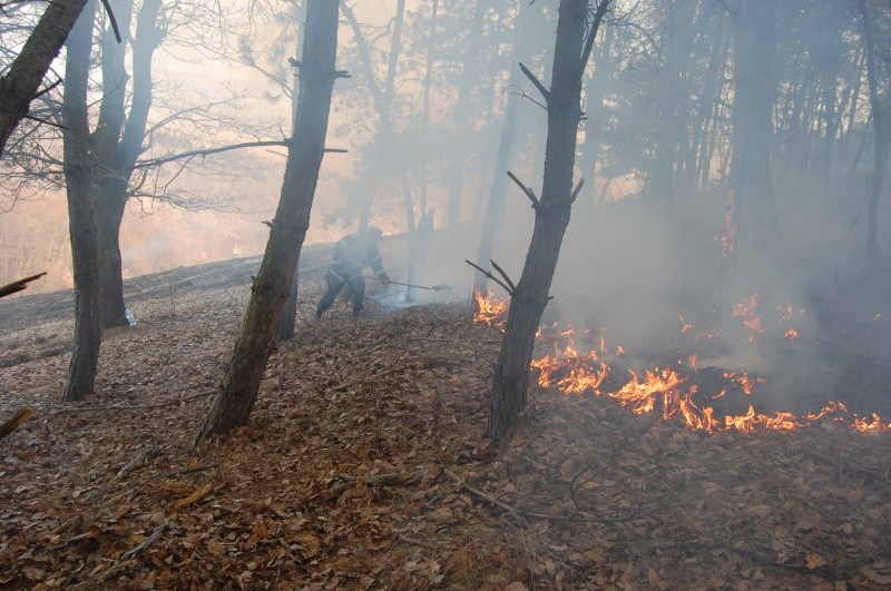 Incendiu de vegetaţie uscată în Apuseni
