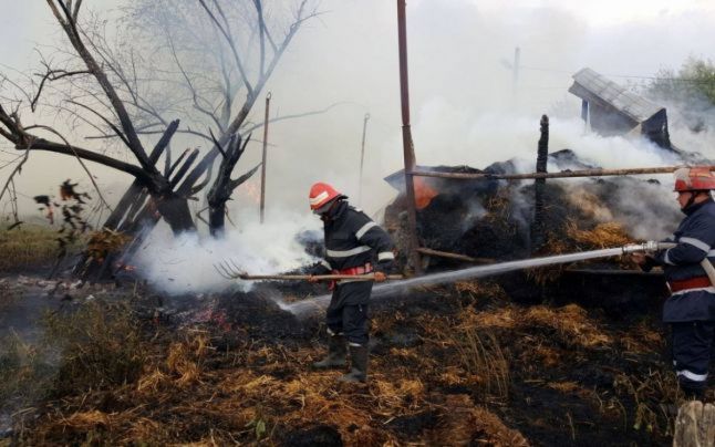 Incendiu puternic la o fermă de animale din localitatea Vădeni. 100 de viţei au murit arşi de vii
