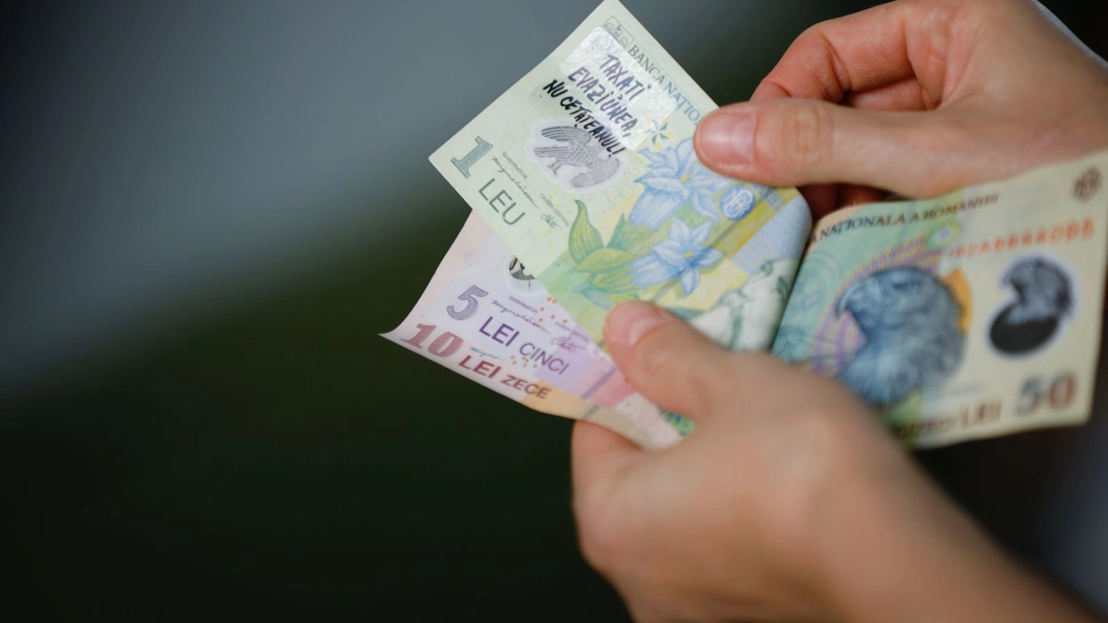 Ingineria BoloJAF: Salarii pe minus în 2026 în România. In restul Europei veniturile vor crește