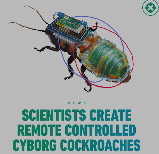Insectele cu creier robotizat au devenit realitate. Gândacii cyborg pot fi cei mai buni spioni in casele oamenilor in operatiuni de tip 
