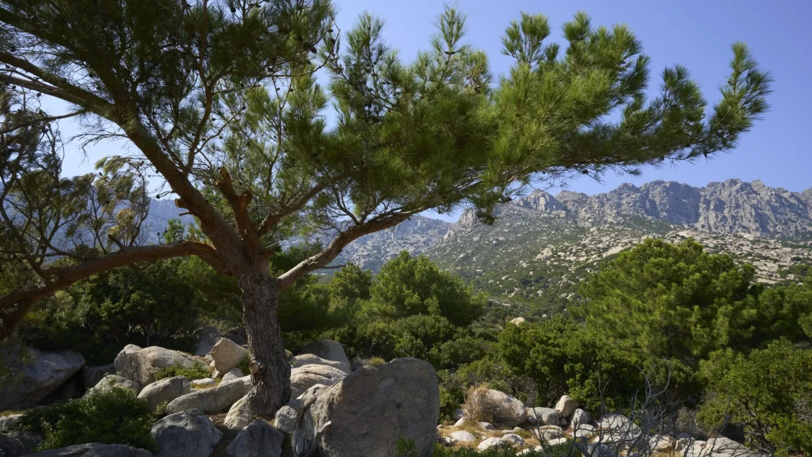 Insula apropiată de România, unde oamenii trăiesc cel mai mult: Majoritatea depășesc 90 de ani și se declară activi sexual