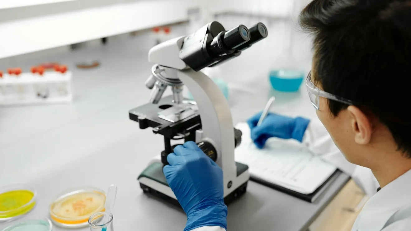 Inteligența artificială a descoperit un mecanism important al îmbătrânirii sângelui. Cum a filtrat informația și a ghidat cercetătorii spre o anumită genă

