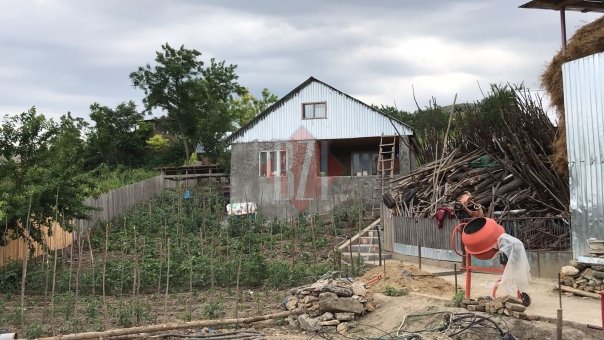 La 15 ani, violator incestuos! I-a pus mana la gura fratelui de 3 ani si l-a violat in toaleta