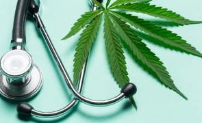 Legalizarea cannabisului în scop medicinal, pe ultima sută de metri: dezbatere aprinsă în Parlament
