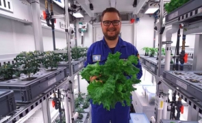 Legumele obţinute în Antarctica încurajează planurile cercetătorilor de a cultiva plante pe Marte şi Lună