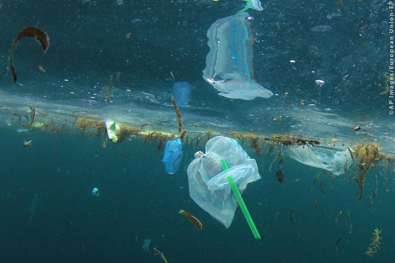 Lista produselor din plastic de unică folosință care vor fi interzise în UE din 2021. Decizia a fost luată în Parlamentul European