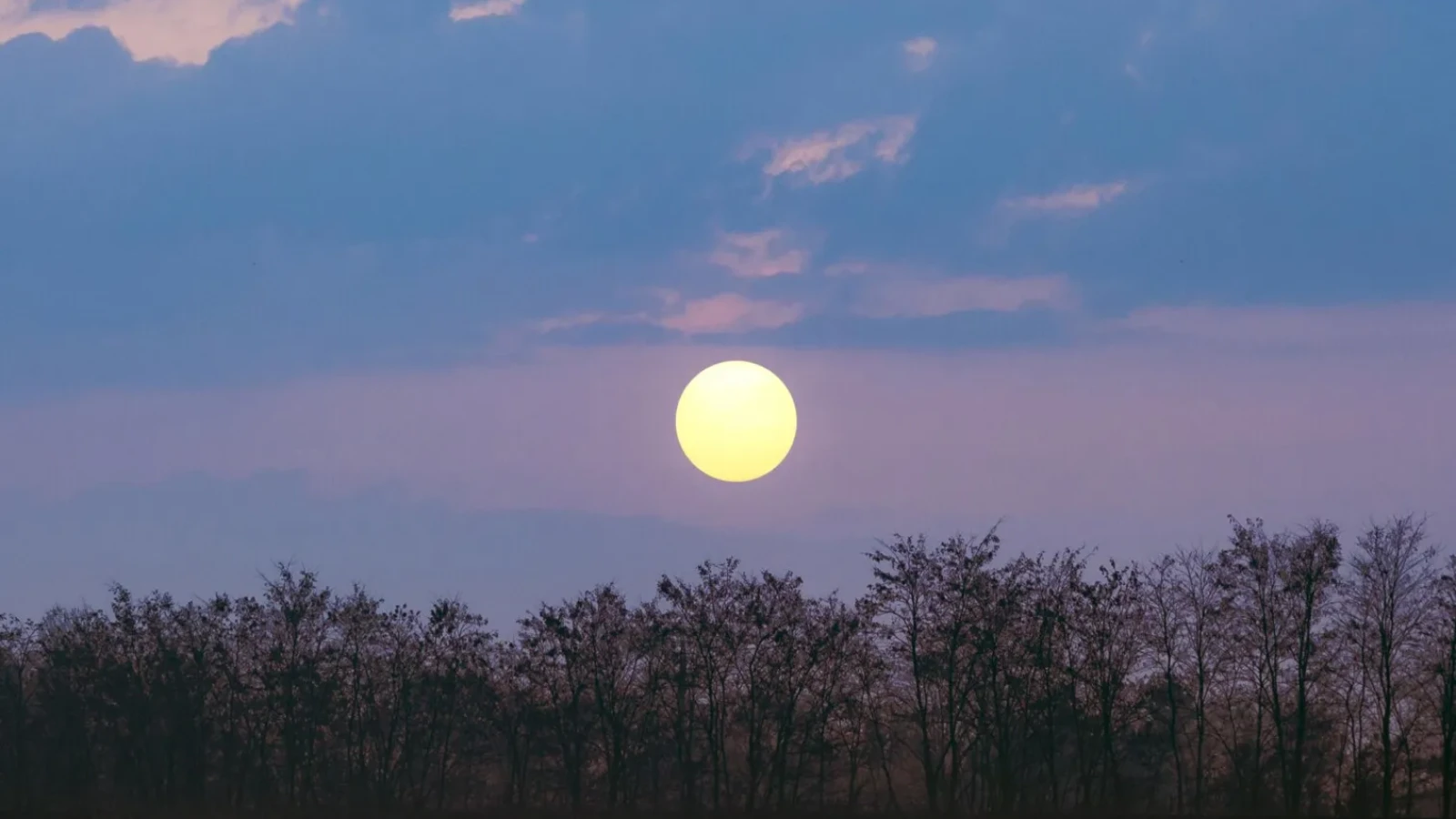 Luna „Căpșună" atinge apogeul în această noapte
