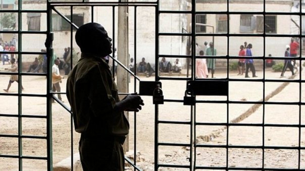 Mai ceva ca in filme! A aparut o organizatie criminala care ii sperie chiar si pe celebrii mafioti italieni