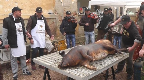 Mare atentie! Iata ce amenda risti daca iti tai porcul in curte