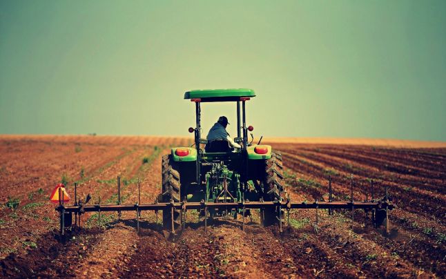 Mari companii arabe, dispuse să investească o jumătate de miliard de dolari în agricultură. Ce terenuri i-au atras în România