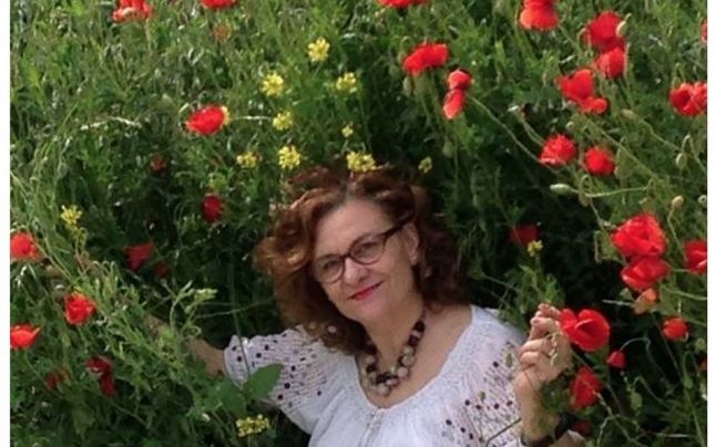 Maria Grapini, mesaj jignitor faţă de românii din diaspora: Fără certificat de prost nu puteţi participa la miting