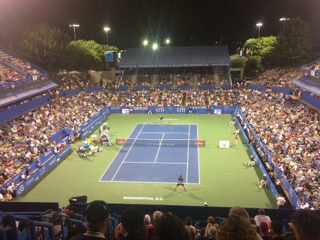 Marius Copil, în optimi la Washington