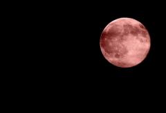 Mesajul din Luna Sângerie: