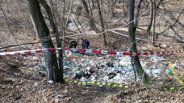 Mii de cutii cu medicamente au fost descoperite într-o pădure din Ciuperceni
