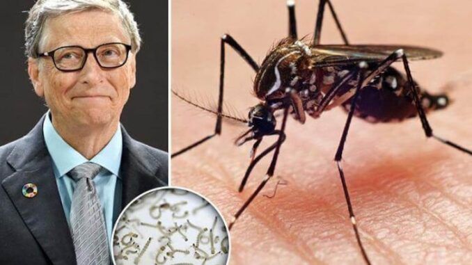Milioane de țânțari modificați genetic de o companie finanțată de Bill Gates au primit autorizarea pentru a fi lansați în SUA!