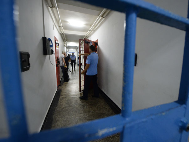 Ministrul Justiţiei a cerut amânarea dezbaterilor la proiectul Legii graţierii unor pedepse