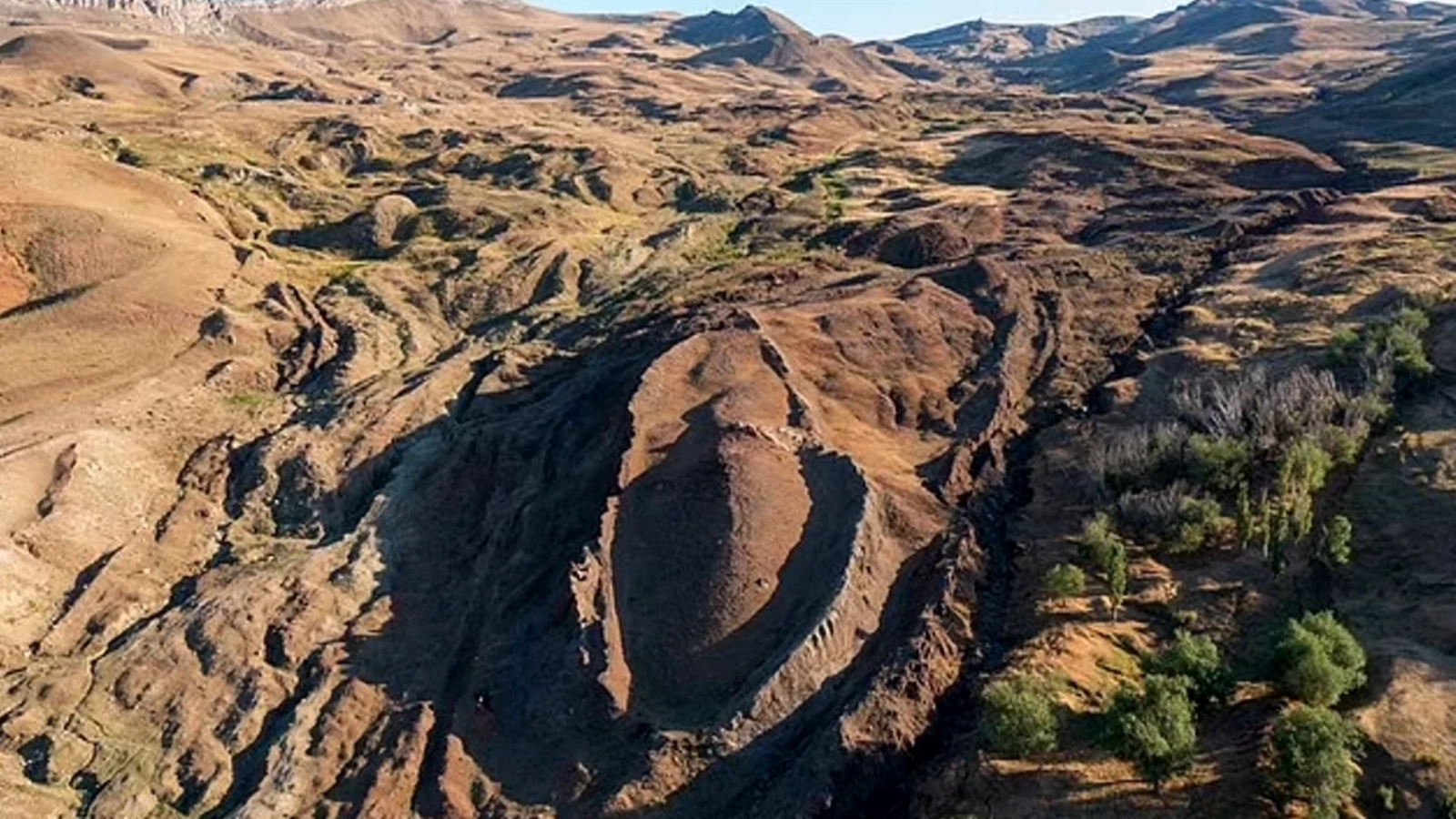 Mirabela confirmă: Nicușor Dan e pasionat de ciolan!