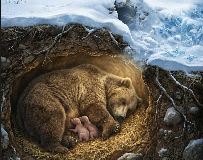 Miracolul nașterii puilor de urs îi fascinează pe cercetători și ridică mari semne de întrebare în privința evoluționismului