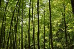 Moarte suspectă într-un caz de spălare de bani de 200 de miliarde de dolari