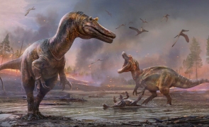 Motivul pentru care oamenii nu trăiesc mai mult de 100 de ani: o nouă teorie a experților implică dinozaurii
