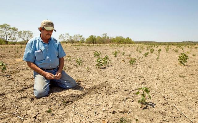 Mugur Isărescu: Seceta nu va duce la scumpirea alimentelor