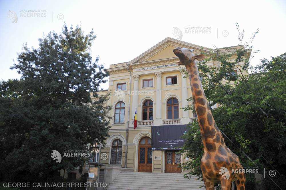 Muzeul Antipa se opune înstrăinării a 45% din suprafaţa liberă de construcţii a instituţiei