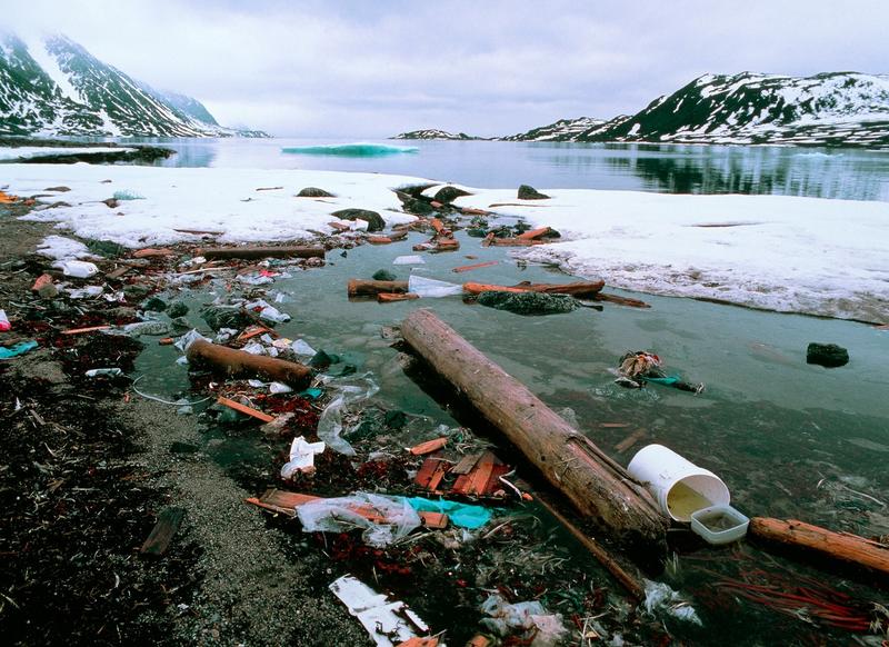 Ninge cu microplastic în Siberia! Cercetătorii ruși încearcă să afle răspunsuri după ce si pestii au fost infectati