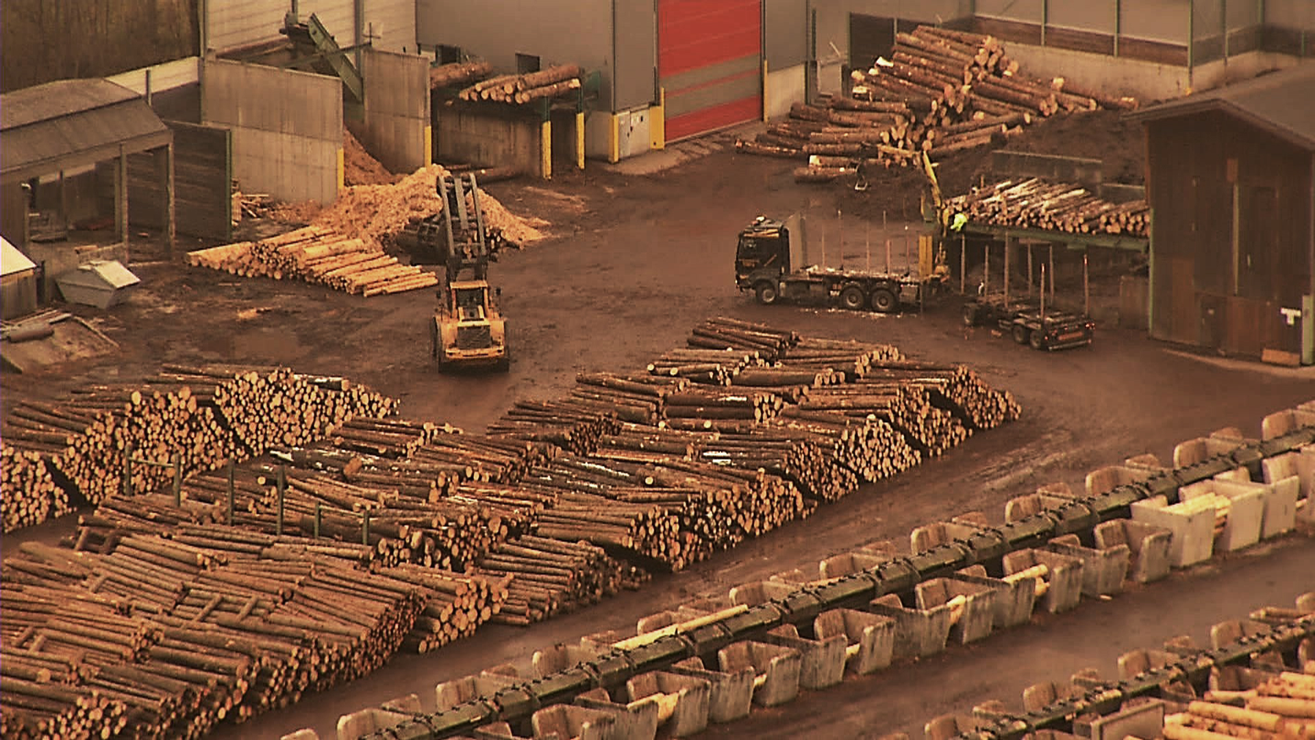 Nouă lovitură pentru Holzindustrie Schweighofer de la  Ministerul Apelor si Pădurilor