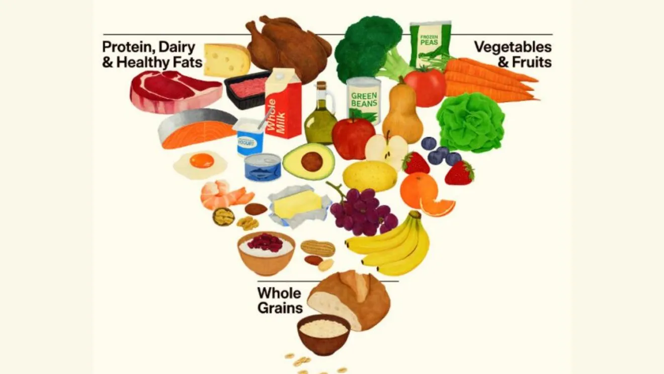 Noua piramidă alimentară elaborată de administrați Trump lasă libertate de alegere pentru alcool
