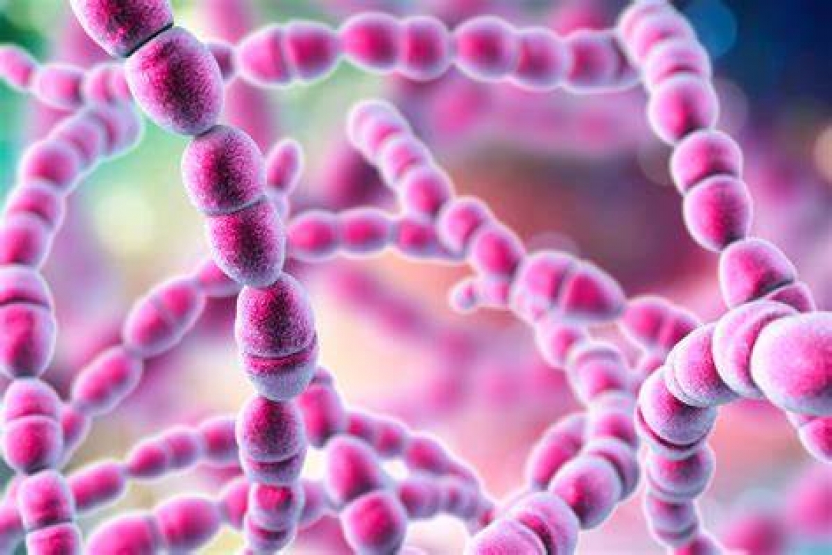 O bacterie care ucide oamenii în 48 de ore se răspândește cu viteza focului: Efectiv mănâncă carnea de pe oase