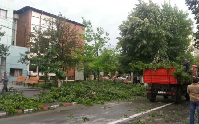 O fetiţă de doi ani din Mureş a murit după ce un copac smuls de furtună a căzut pe o maşină